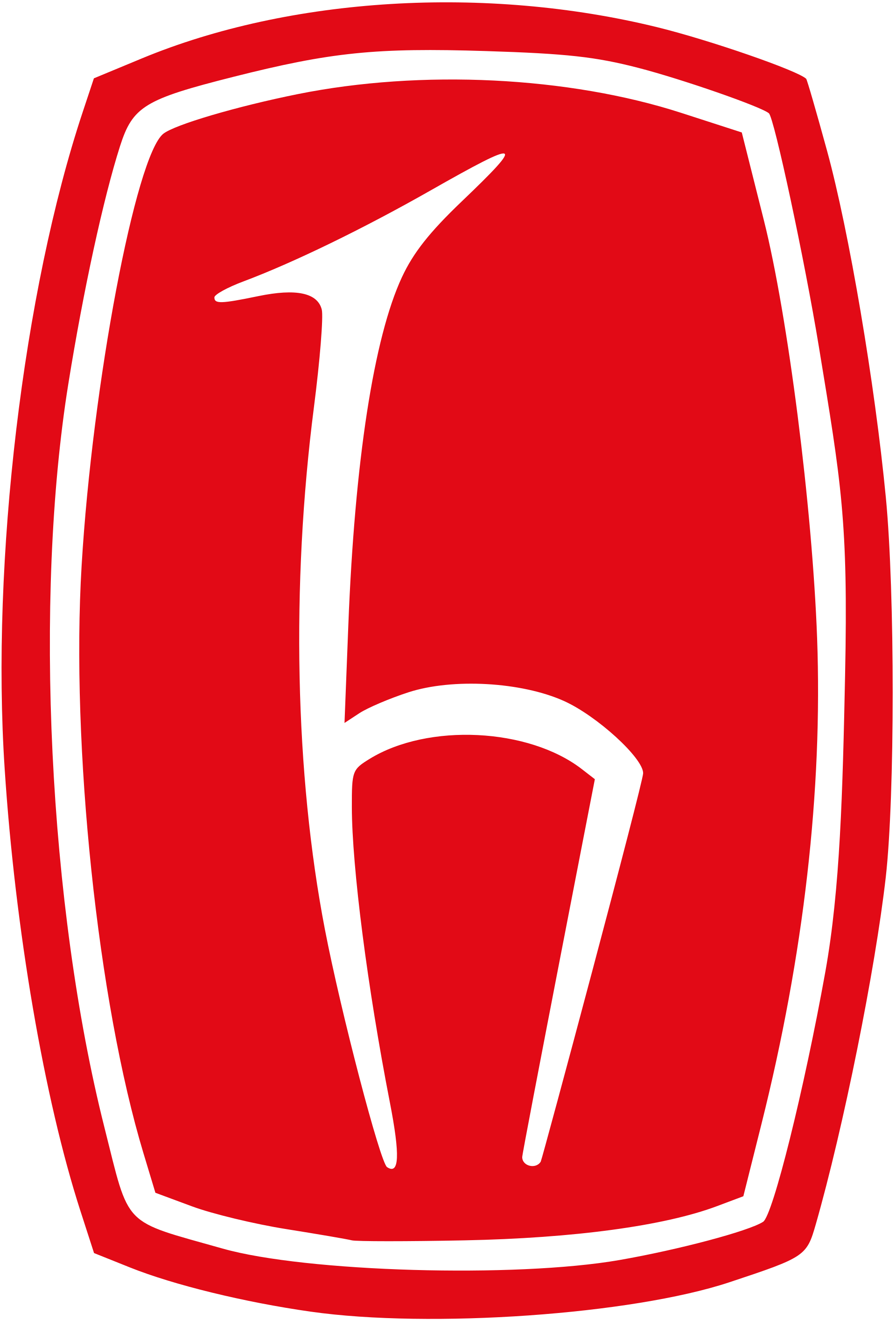 Hacettepe University logo